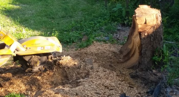 stump grinding by Supercheap