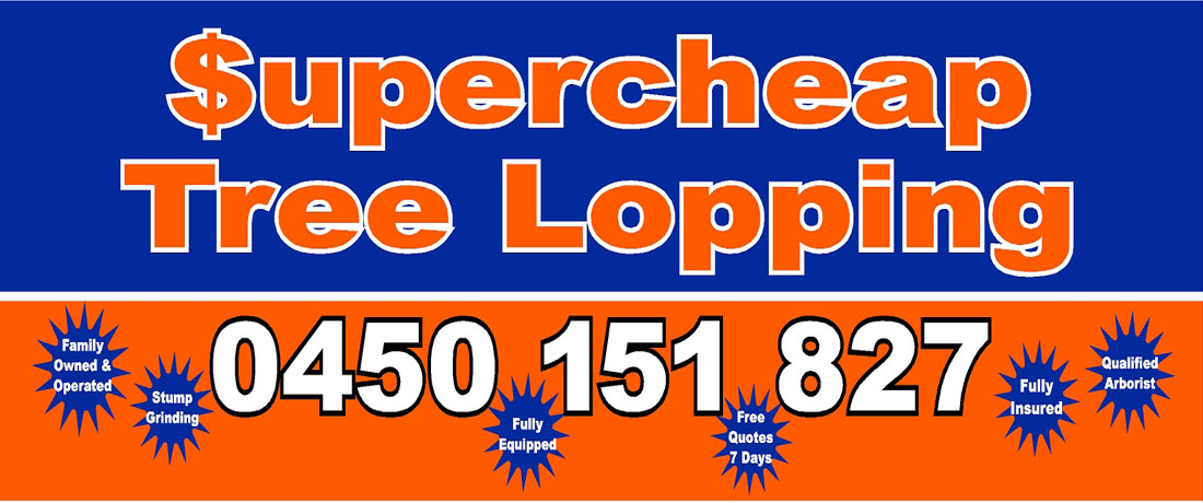 supercheap tree lopping brisbane